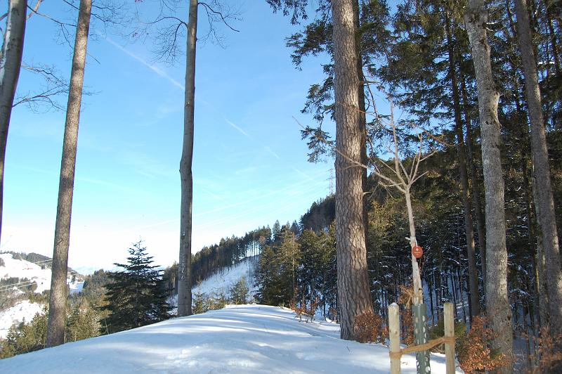 2010 02 21 B